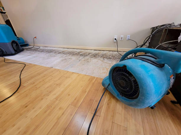 Professional Water Damage Repair technician working in Kirtland AFB, NM